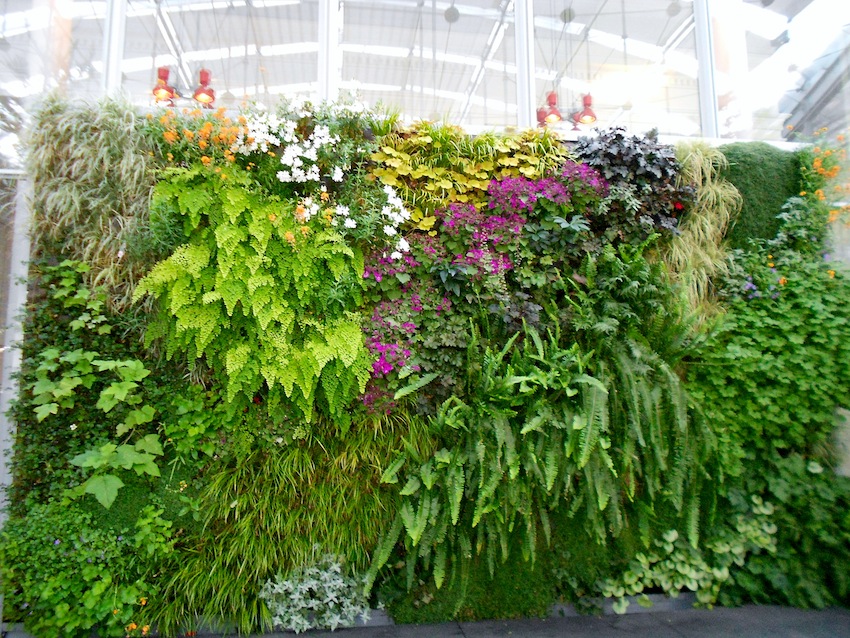 cas-living-wall